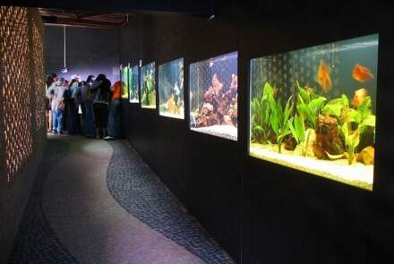 Corredor com aquários nas paredes