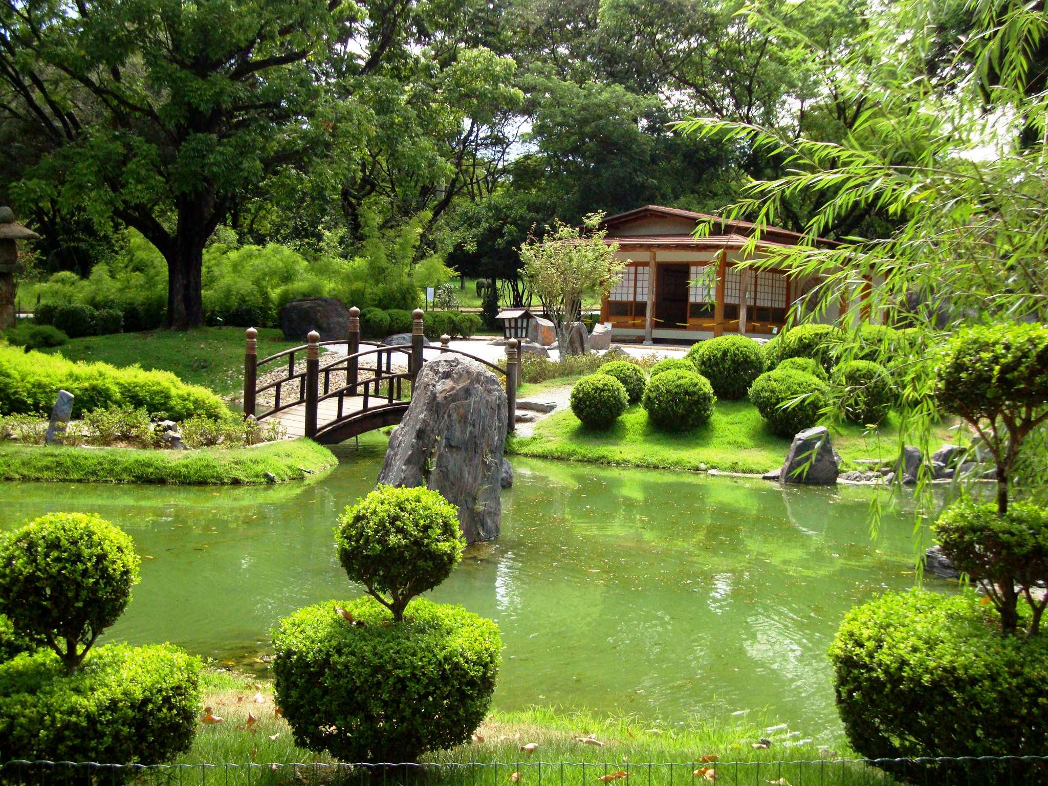 Jardim Japonês 