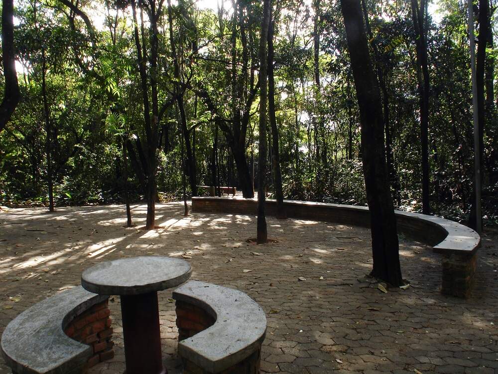 Parque da Matinha 