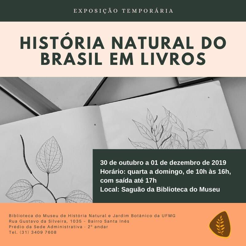 História Natural do Brasil em livros