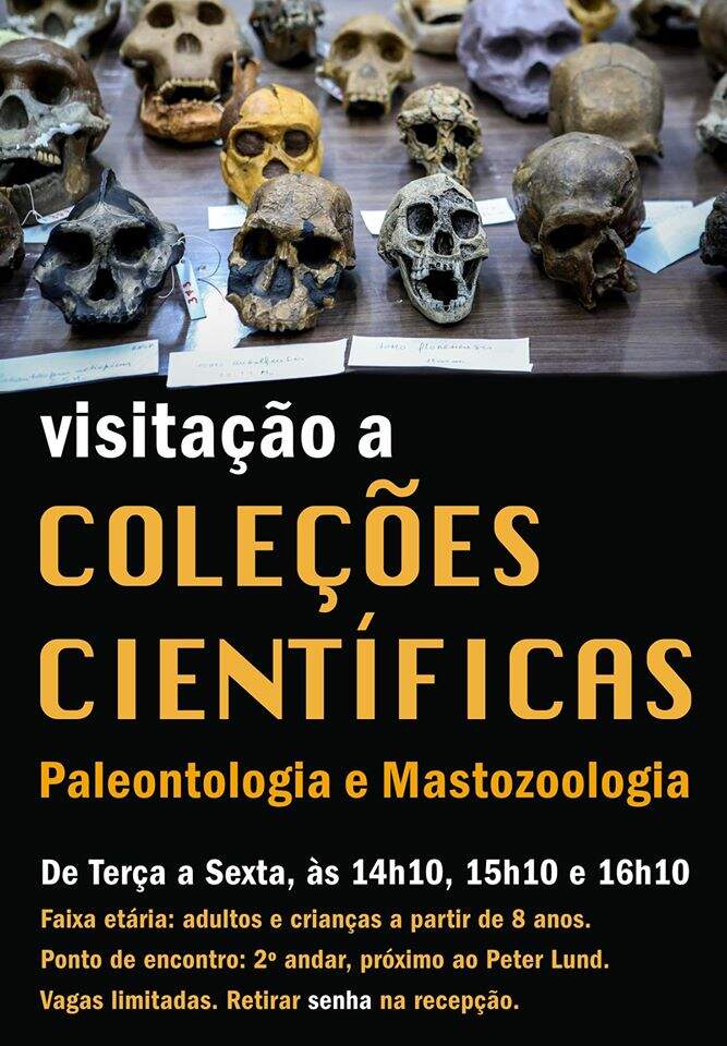 Visitas a Coleções Científicas - Paleontologia e Mastozoologia - PUC Minas