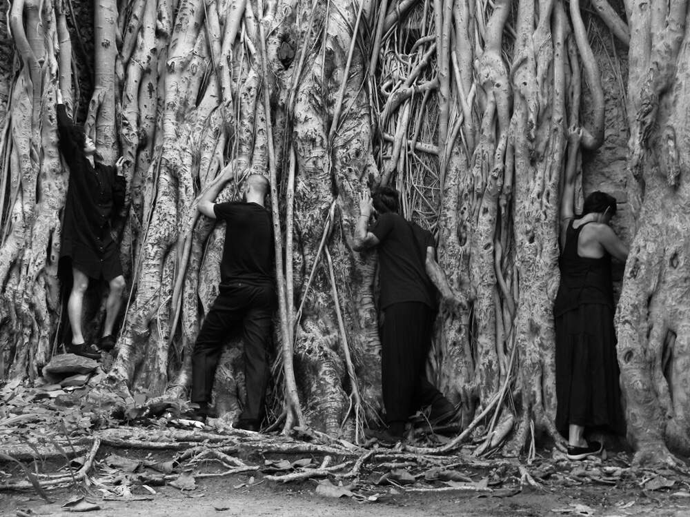 A imagem mostra integrantes do Camaleão Grupo de Dança diante das raízes de uma árvore. As raízes são enormes e parecem ser de uma planta bastante antiga. Os dançarinos usam roupas pretas e estão agarrados às raízes como se fizessem parte dela.