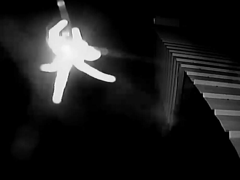 Na imagem, uma silhueta de uma aranha destaca-se em um cenário escuro. O registro foi feito por uma câmera de segurança.