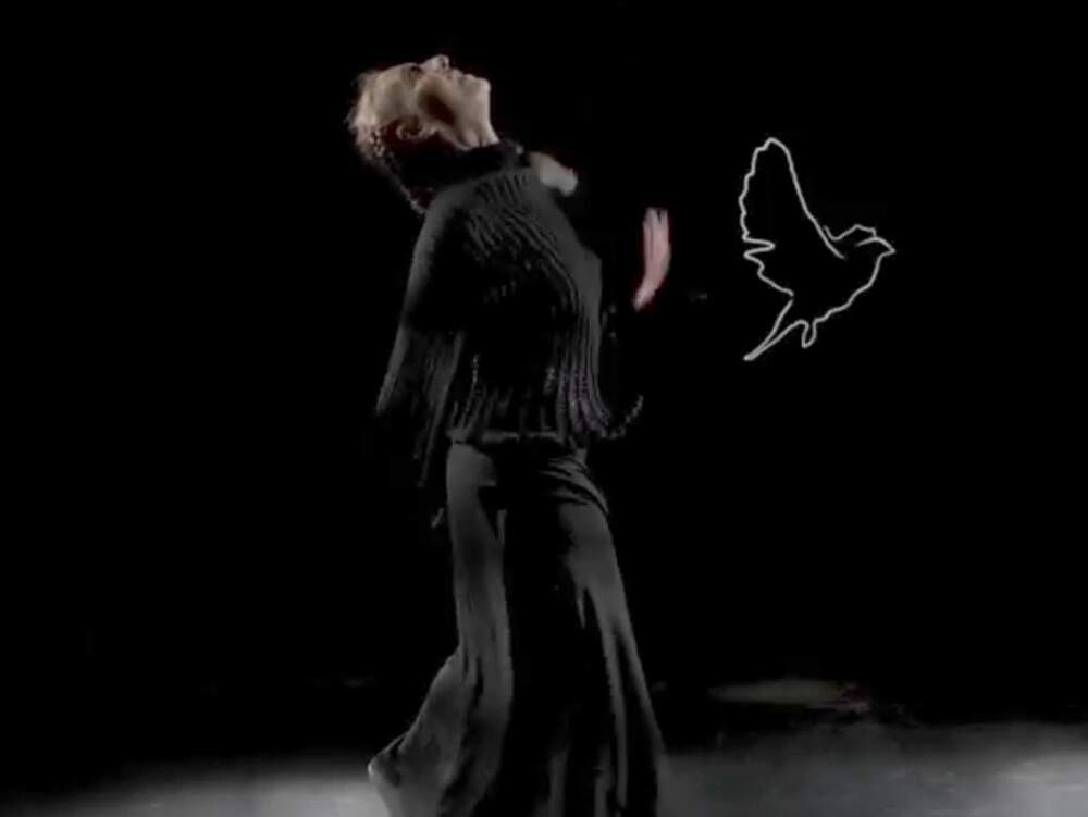 A imagem mostra uma pessoa diante de um fundo escuro. Ela usa uma roupa toda preta e está em movimento, com o rosto para cima. No lado direito da imagem, há um pássaro em neon.
