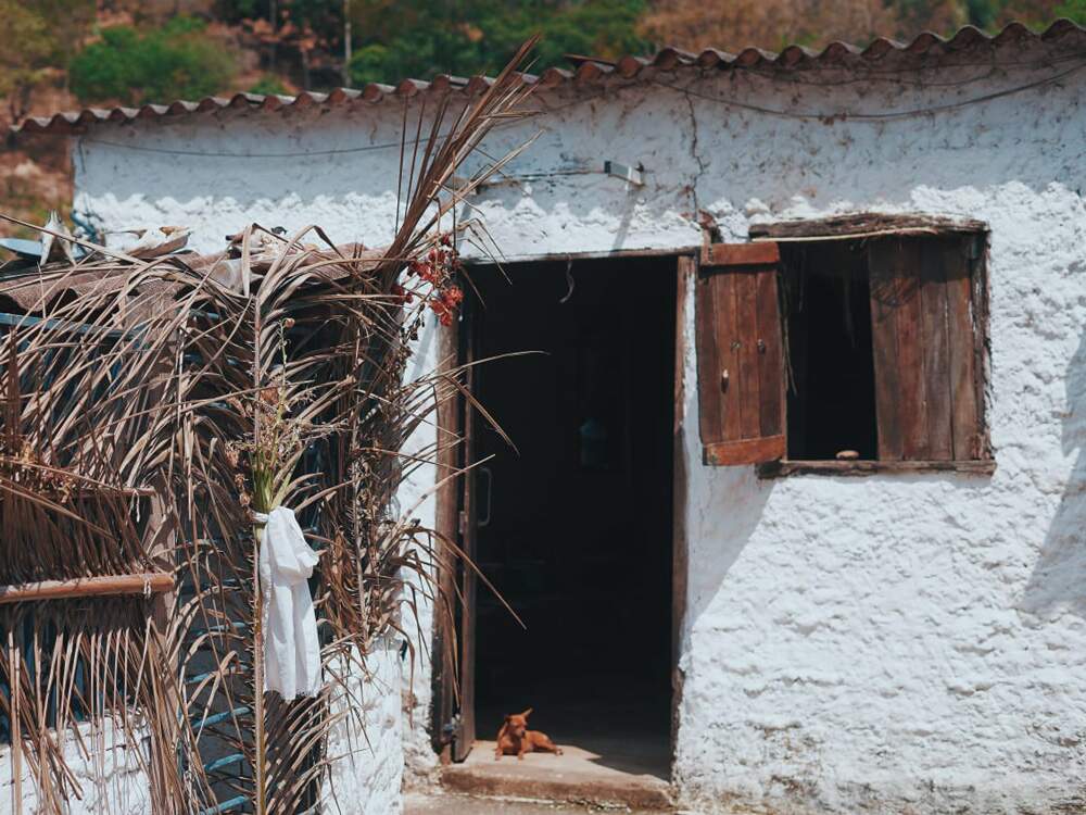 A imagem mostra a entrada do Kilombu Manzo. A casa é branca, com telha, e muro chapiscado branco, com uma pequena janela de madeira. Sentado à porta, que está aberta, um cachorro pequeno de cor marrom. Ao lado esquerdo, mais próximo à lente da câmera, há uma pequena construção com a lateral coberta de folhagens secas e algumas flores alaranjadas.