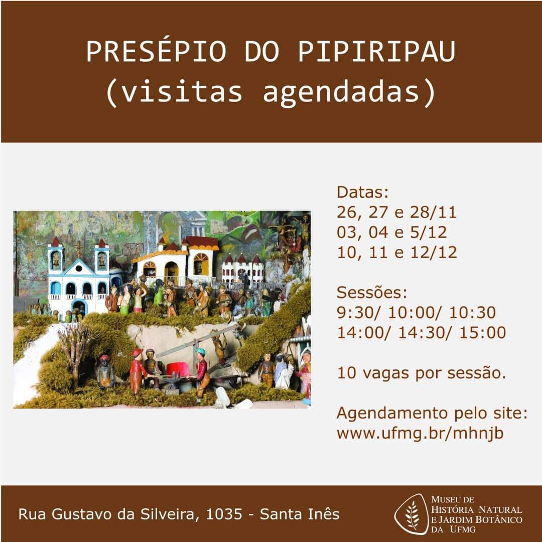 Visita ao Presépio do Pipiripau - Museu de História Natural e Jardim Botânico da UFMG