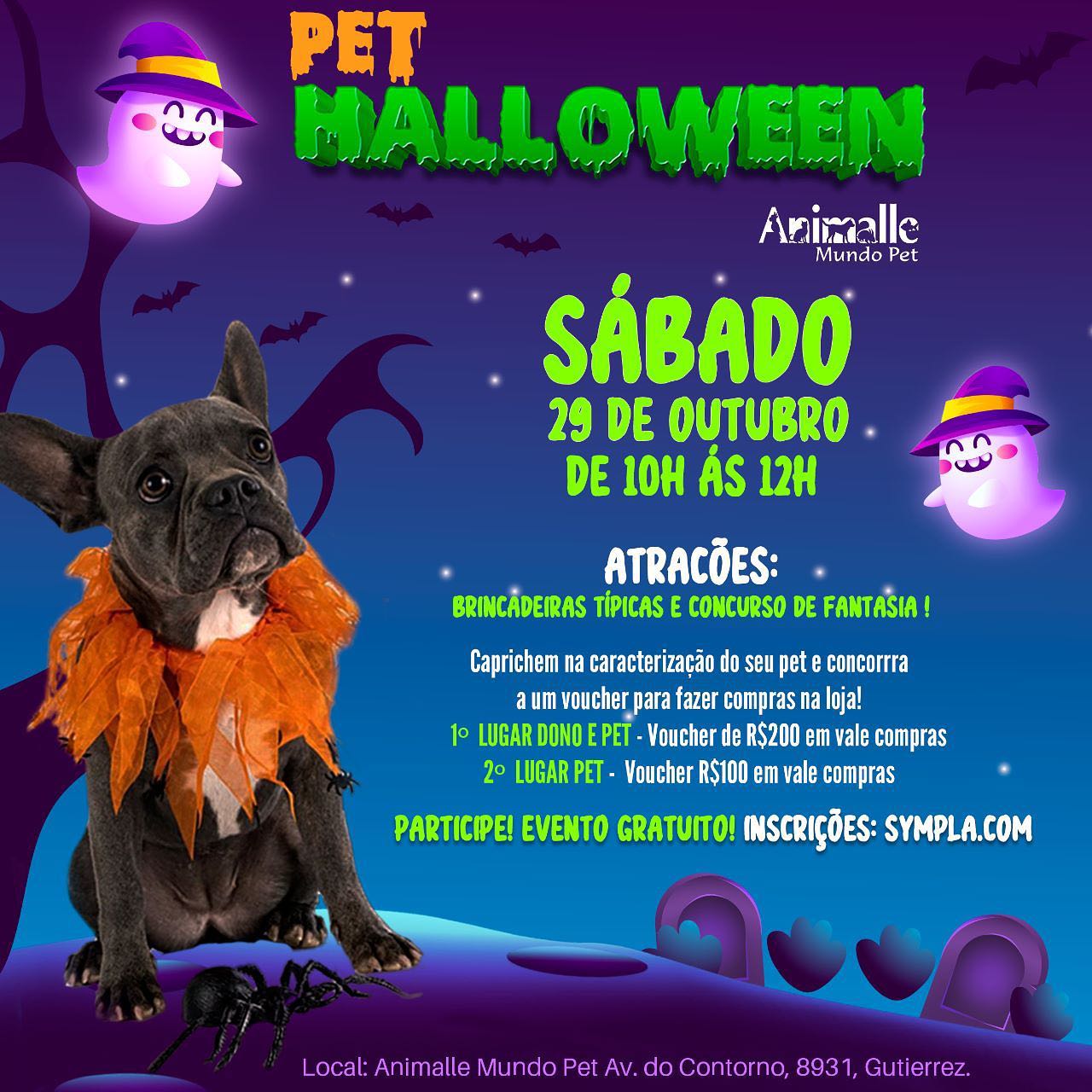 PET – Conservação e Restauro » CINEPET-CR – Halloween 2023