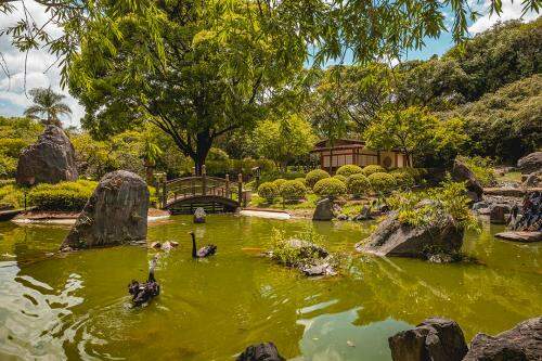 Jardim Japonês Fundação de Parques Municipais e Zoobotânica de Belo Horizonte