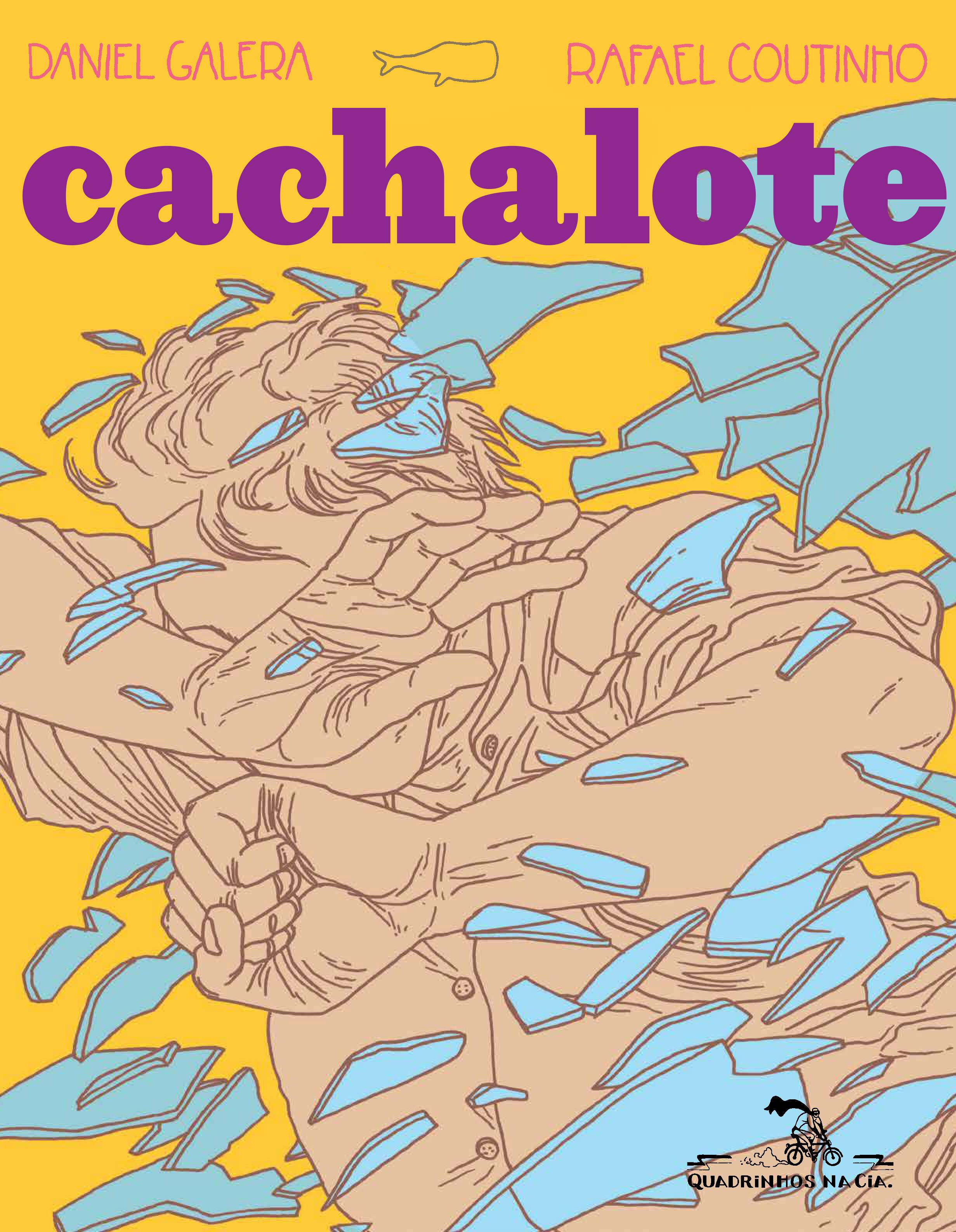 “Cachalote”, de Daniel Galera e Rafael Coutinho, editora Quadrinhos na Cia