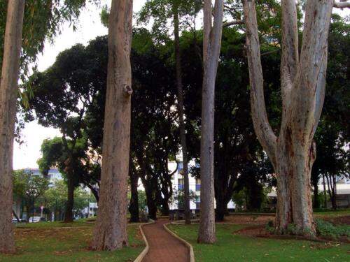 Parque Rosinha Cadar 