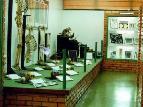 Museu focaliza o organismo humano, com todos os seus órgãos e sistemas