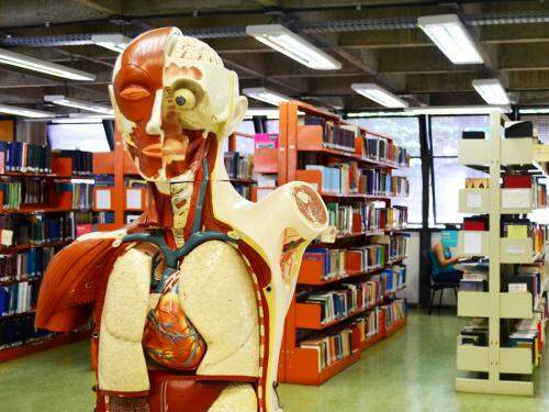 Biblioteca da Escola de Educação Física Fisioterapia, Terapia Ocupacional - UFMG