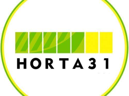 Horta 31