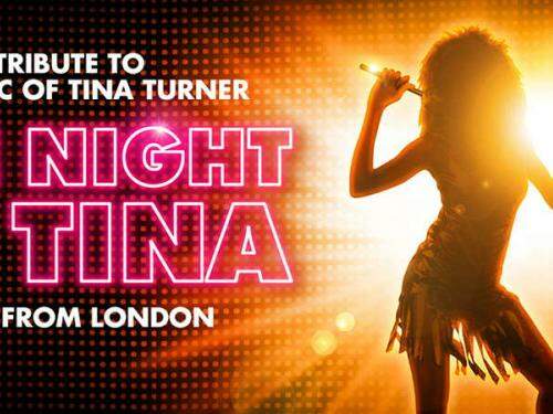 One Night Of Tina - A Tribute to the music of Tina Turner