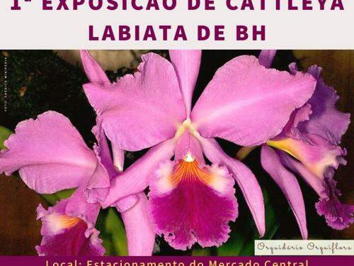 1ª Exposição de Cattleya Labiata de BH