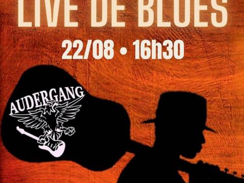 Lives: Audergang - Live de Blues