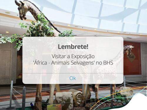  Exposição: “África: animais selvagens” - BH Shopping