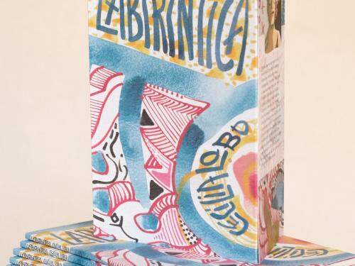 Lançamento do livro: de poesias "Labiríntica" - Cecília Lobo