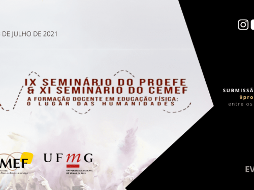 IX Seminário do PROEFE / XI Seminário do CEMEF 2021 - Online