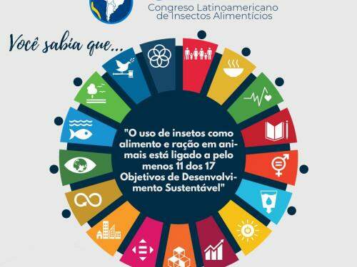 CLIA 2021 - Congresso Latino-americano de Insetos Alimentícios - Online