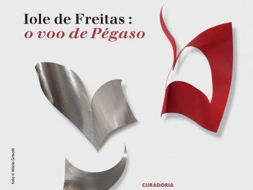 Exposição: "O Voo de Pégaso" de Iole de Freitas 