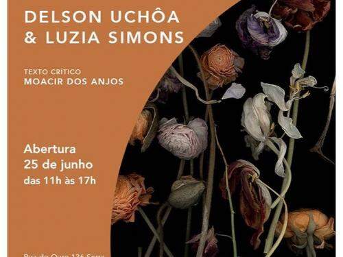  Mostra: “Iluminações do mundo” de Delson Uchôa e Luzia Simons - AM Galeria