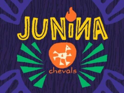 Festa: Junina Chevals