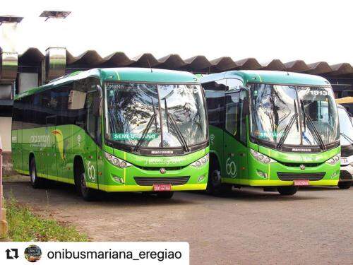 Ônibus - Viação Setelagoano