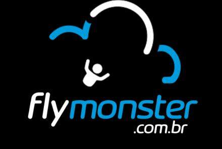 FlyMonster