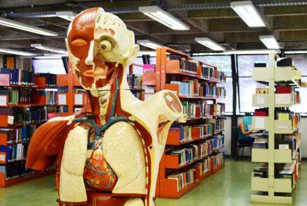 Biblioteca da Escola de Educação Física Fisioterapia, Terapia Ocupacional - UFMG