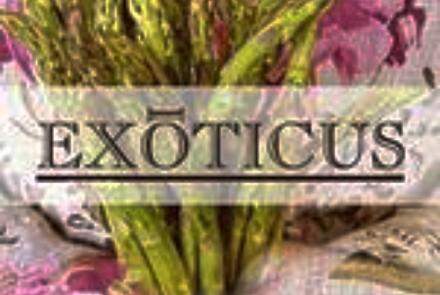 Exōticus