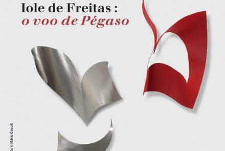 Exposição: "O Voo de Pégaso" de Iole de Freitas 