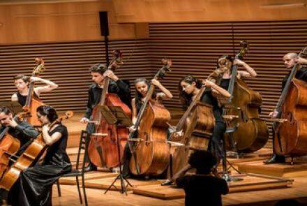 Concerto: “Mozart: a música que criou o ícone” - Orquestra OVO
