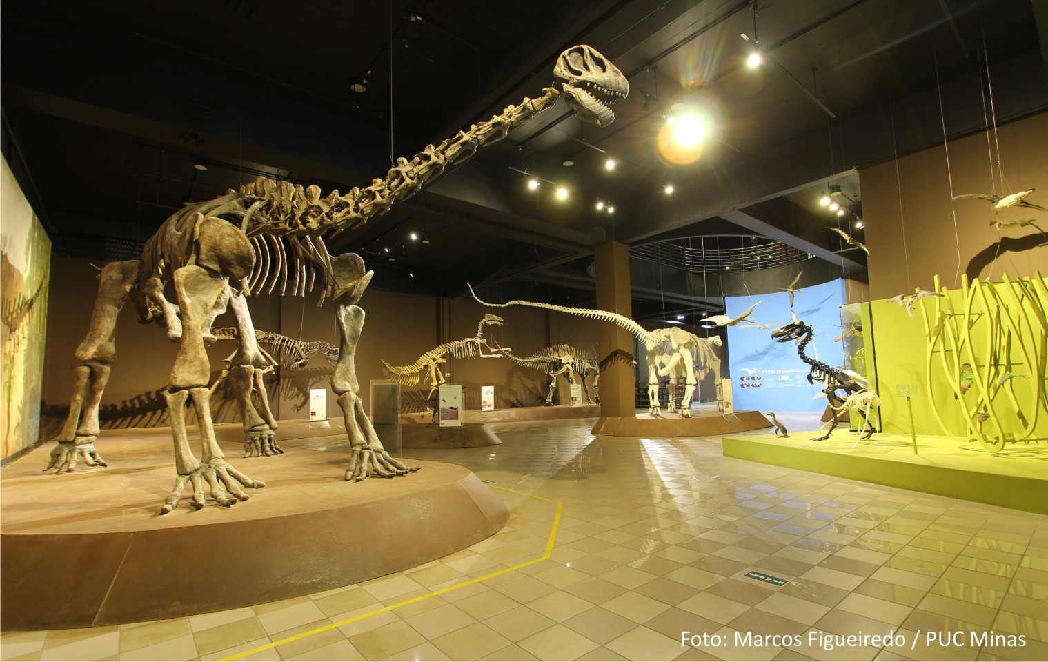 Título Museu de Ciências Naturais PUC Minas