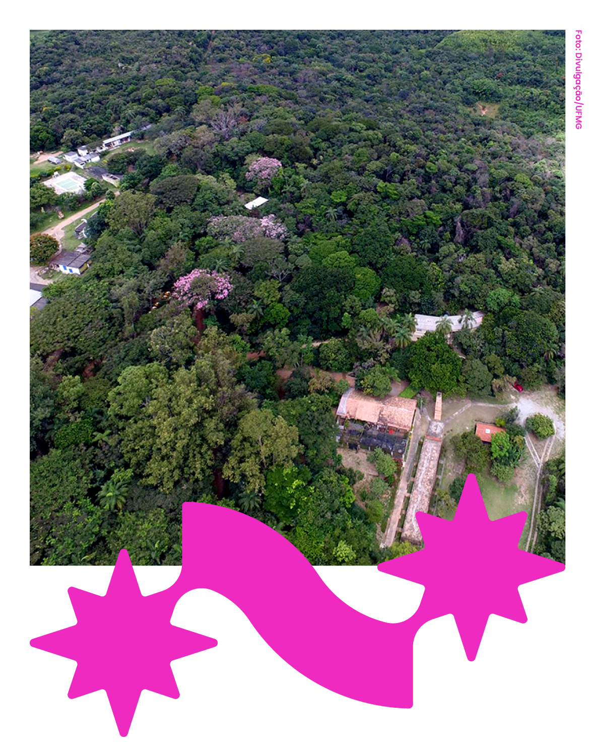 Crédito: Estação Ecológica – Universidade Federal de Minas Gerais