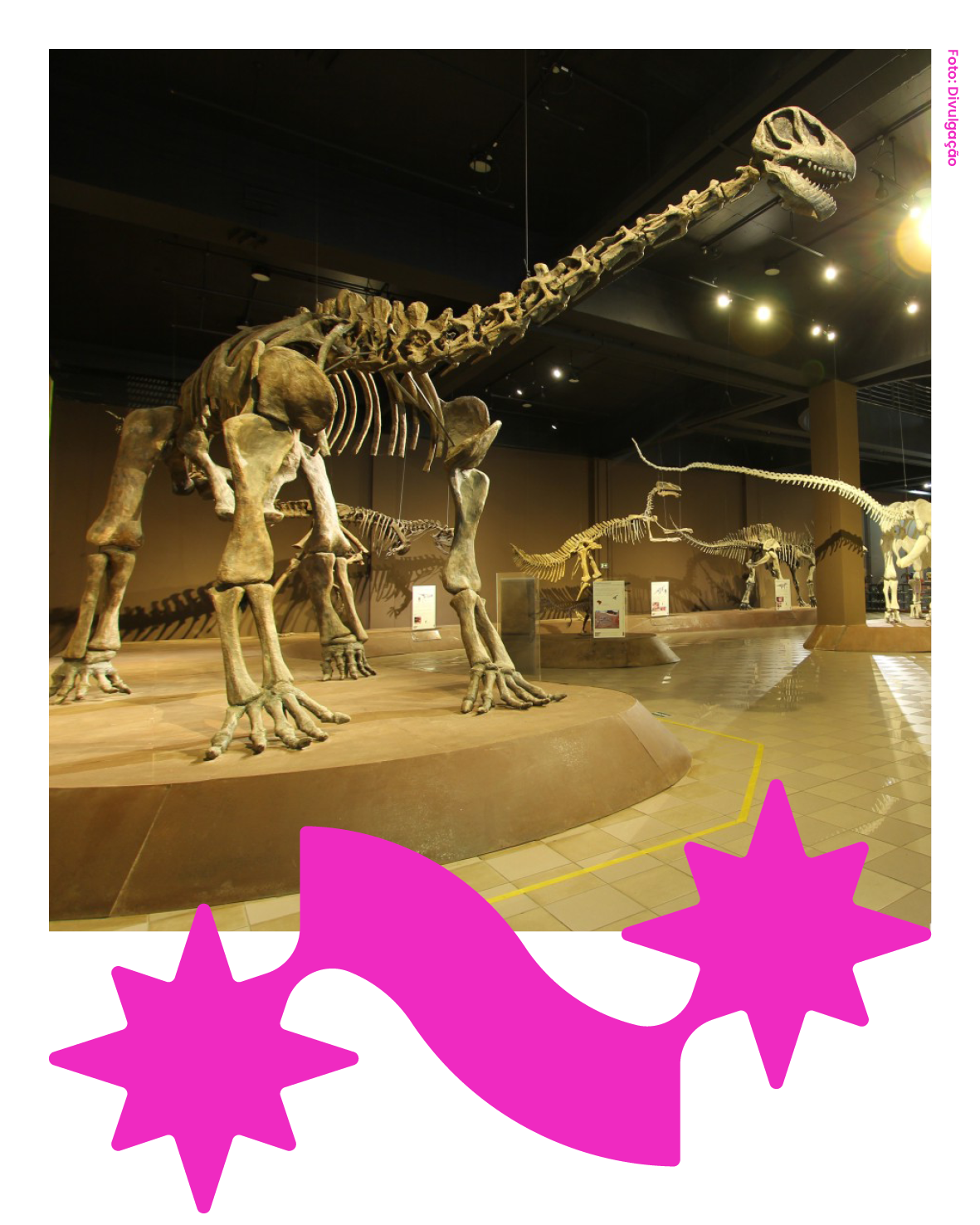 Museu de Ciências Naturais – PUC Minas