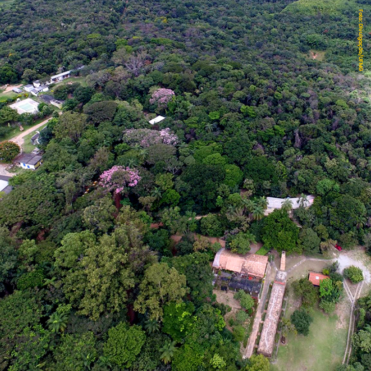 ESTAÇÃO ECOLÓGICA UNIVERSIDADE FEDERAL DE MINAS GERAIS