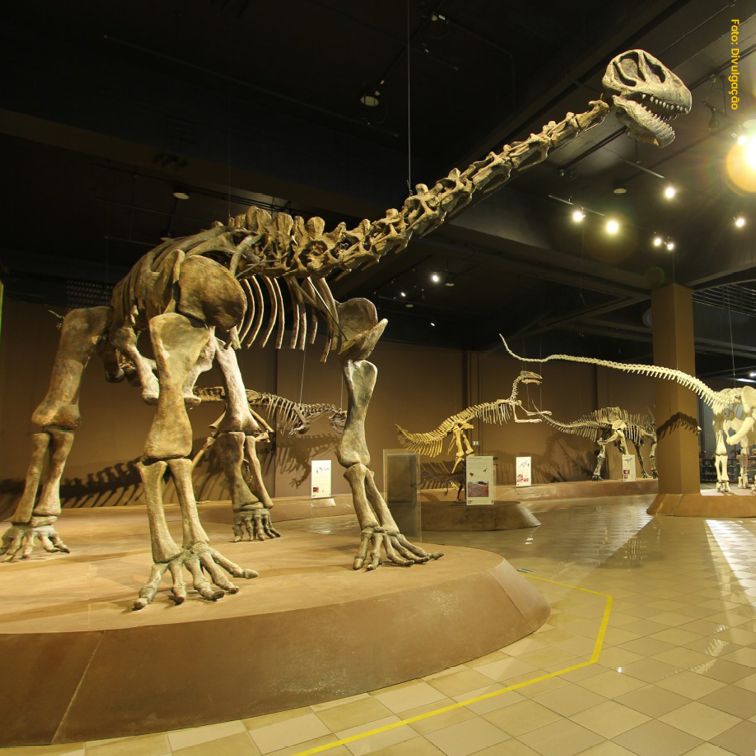 MUSEU DE CIÊNCIAS NATURAIS PUC MINAS