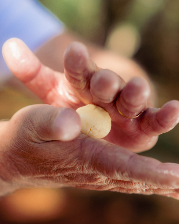 Foto: A Pão de Queijaria / Divulgação