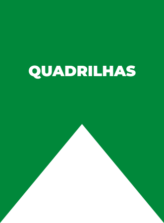 Bandeira escrito quadrilhas