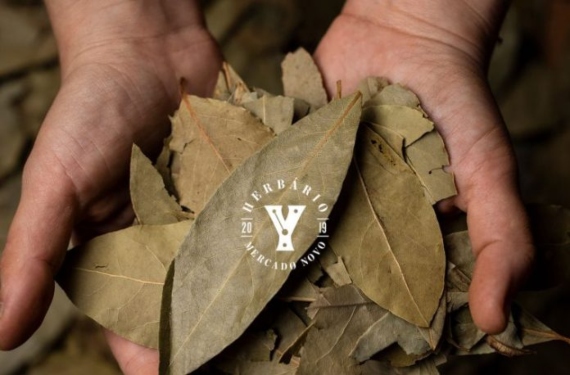 Reprodução/Instagram Herbário YVY