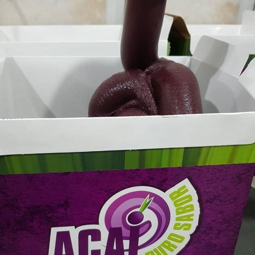 Pé de Açaí