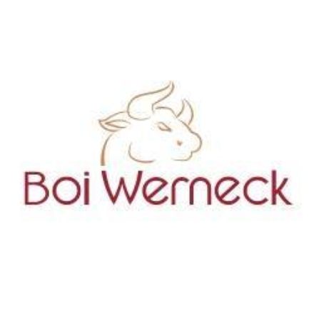 Reprodução / Facebook Boi Werneck Boi Werneck