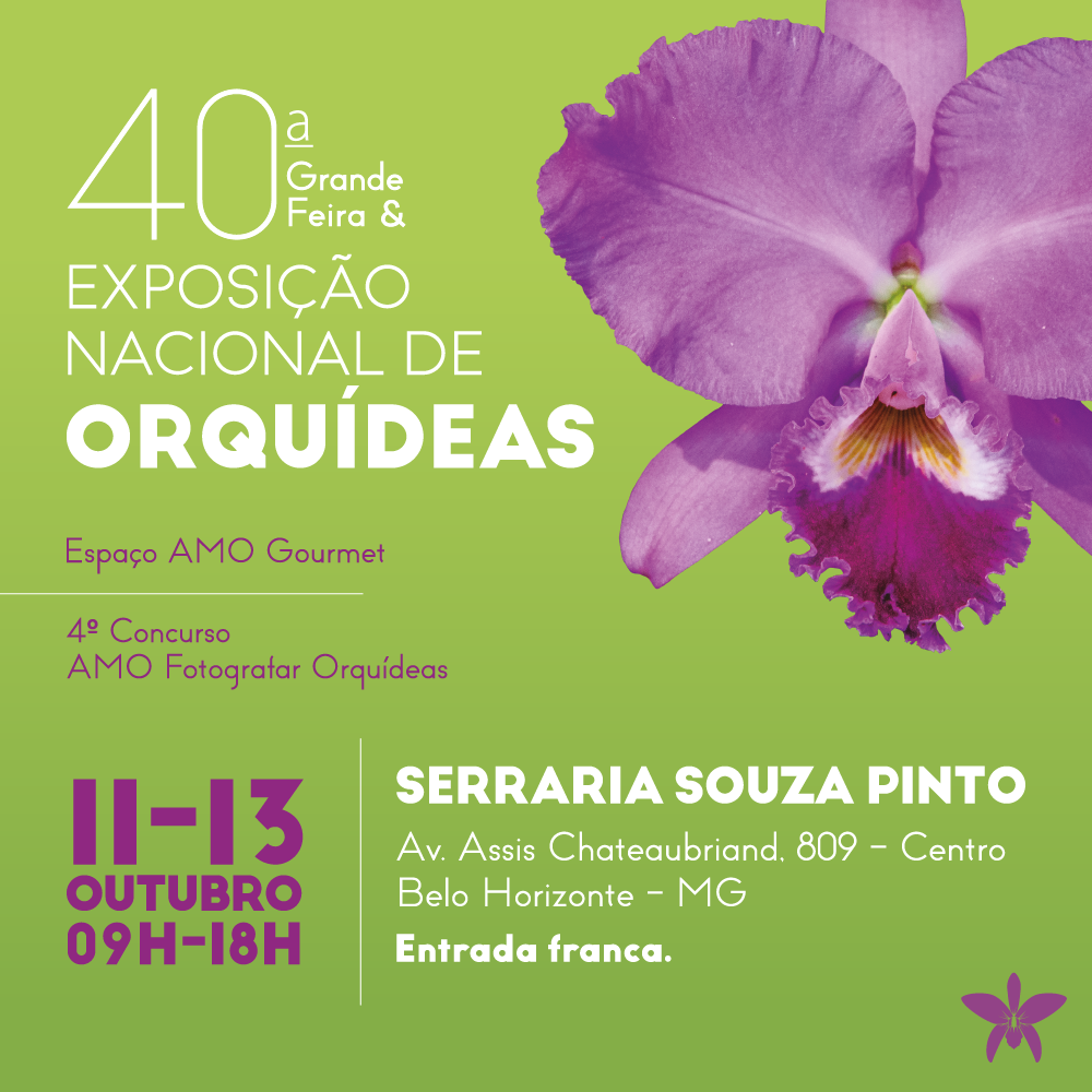 Avenida Assis Chateaubriand, 809 - Centro