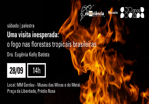 Incêndio na floresta amazônica é tema de palestra no MM Gerdau