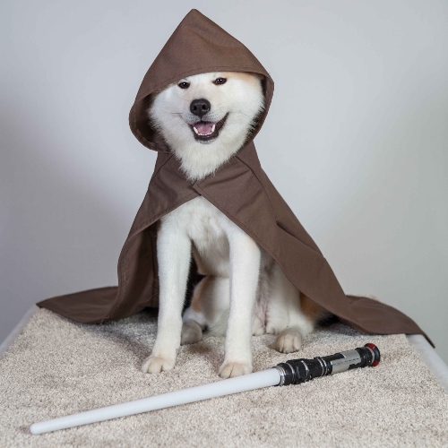 Cospet - Museu do Videogame Itinerante