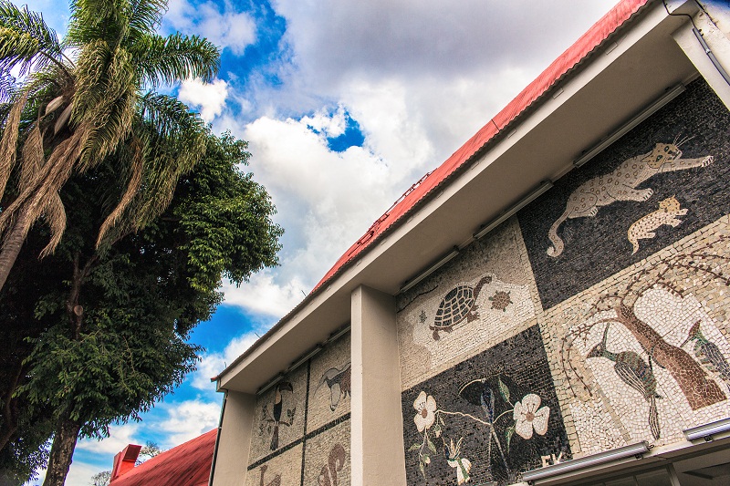 Imagem dos azulejos laterais do Teatro Francisco Nunes
