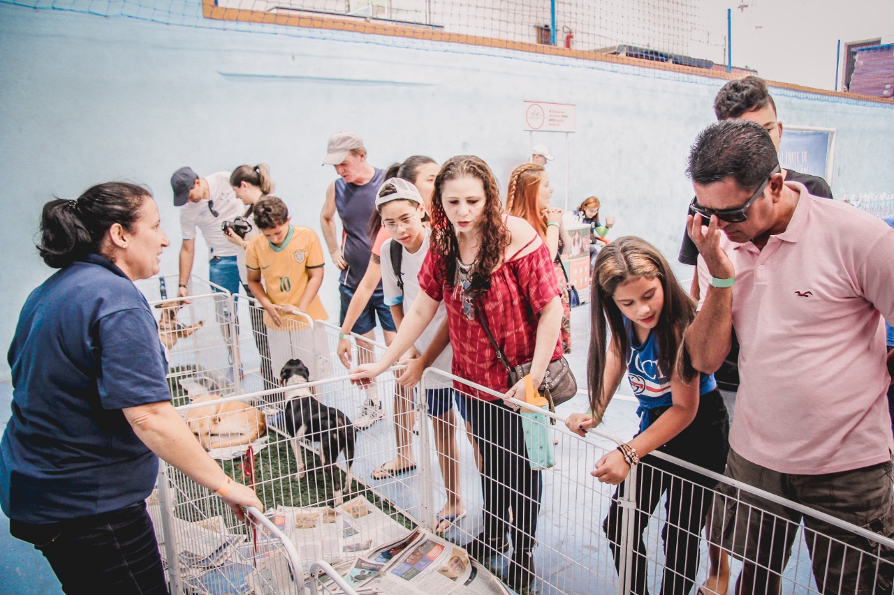 ”Dia da Conscientização Animal - Não compre, adote”