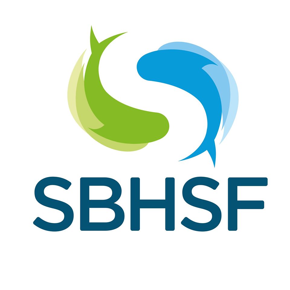 III Simpósio da Bacia Hidrográfica do Rio São Francisco – III SBHSF - ONLINE