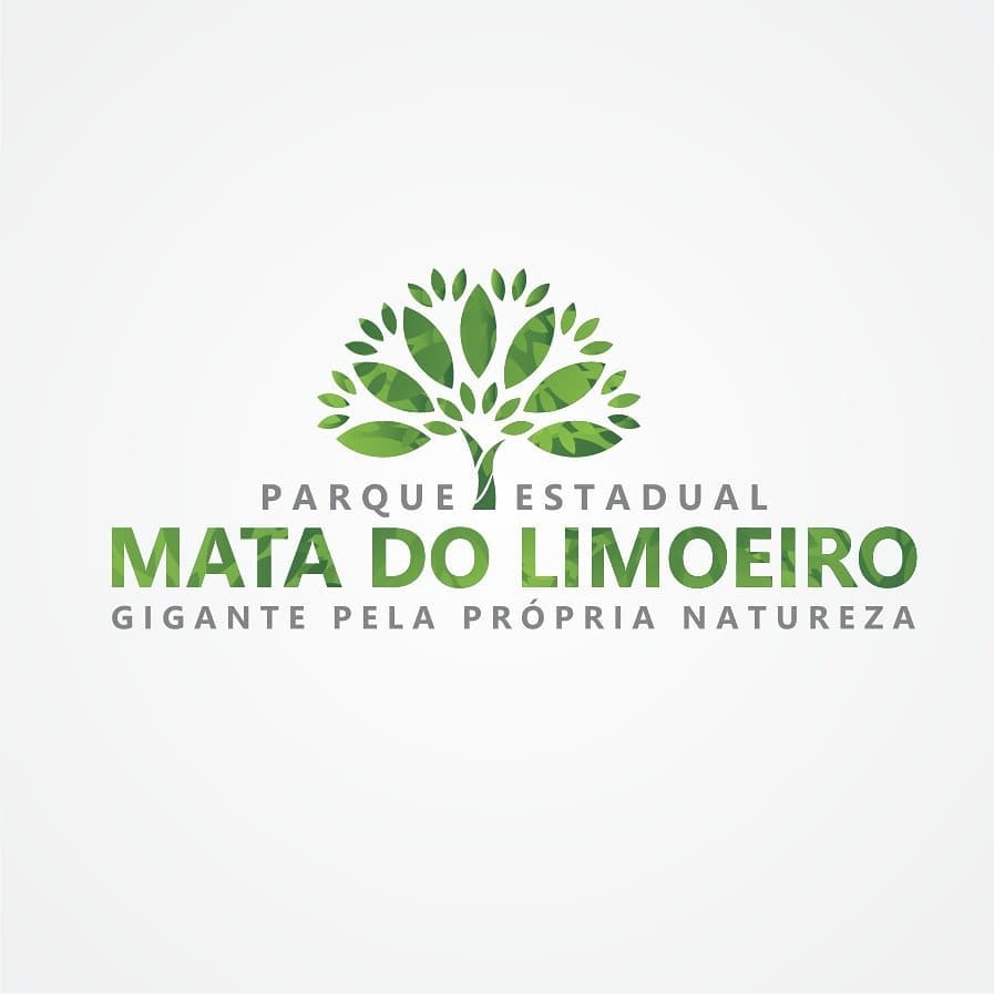 Divulgação/Facebook PEML Live: O Turismo em Ipoema e a importância do Parque Estadual Mata do Limoeiro
